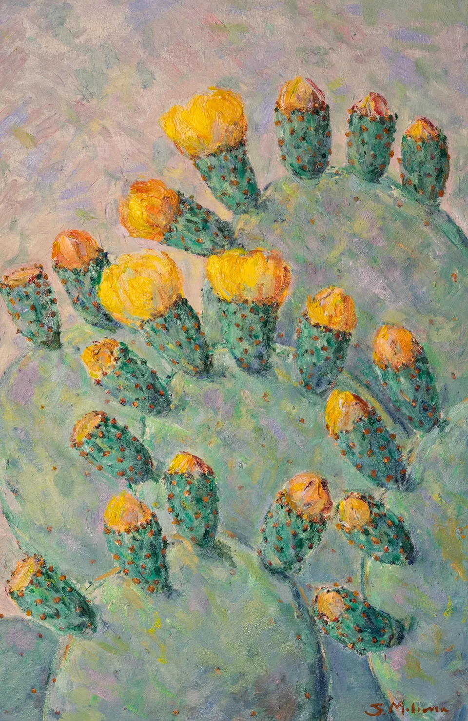 Higos chumbos maduros