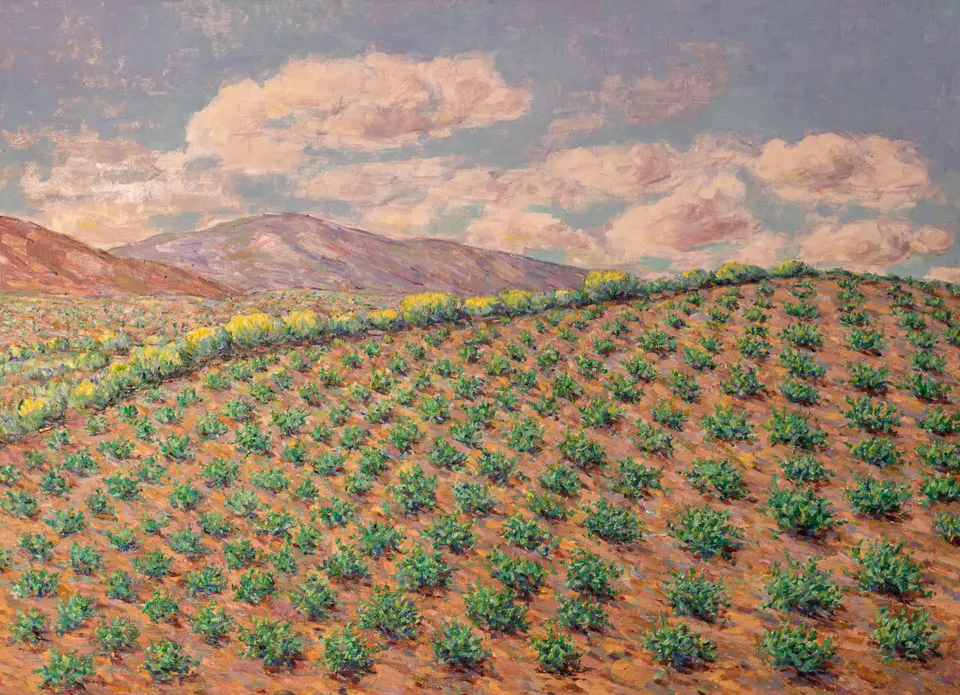 Plantío en la ladera