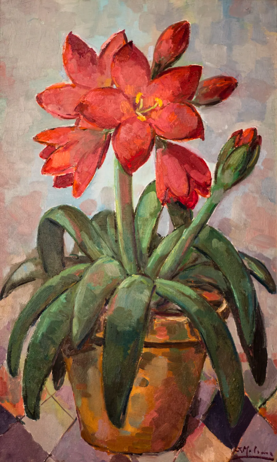 Flor roja en maceta