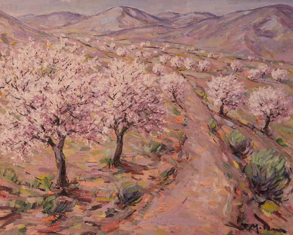 Almendros en la loma