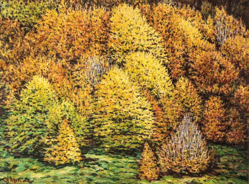 Arboleda en otoño