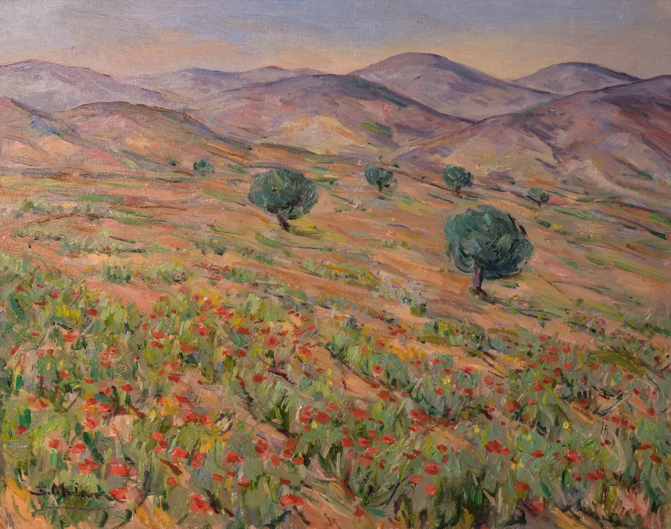 Amapolas entre olivos