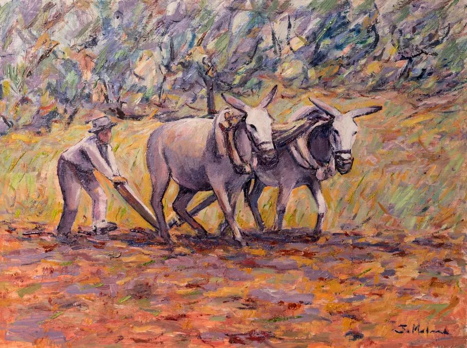 Arando con dos mulas