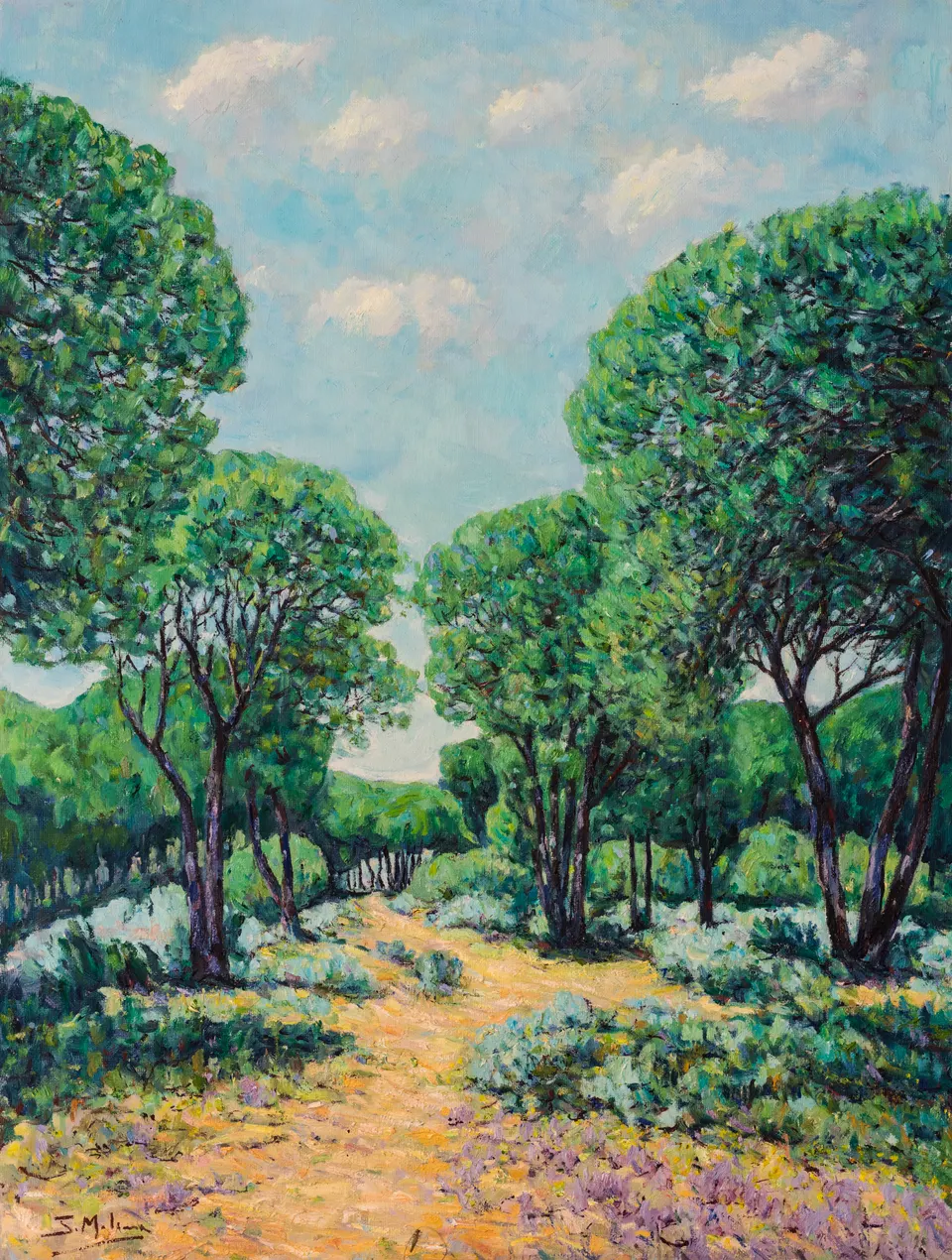 Camino entre pinos
