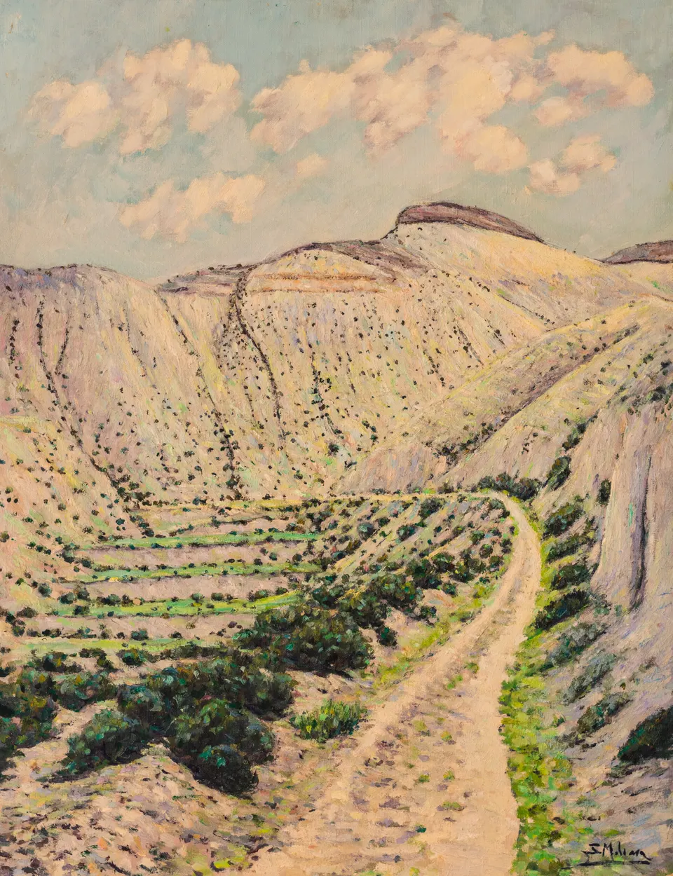 Camino entre cárcavas
