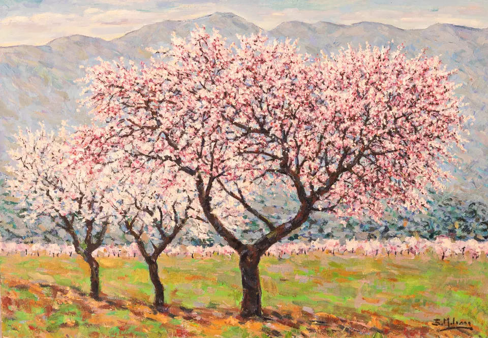 Tres almendros floridos