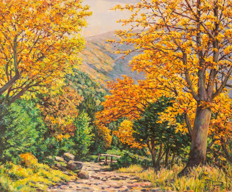 Sendero entre hojas doradas