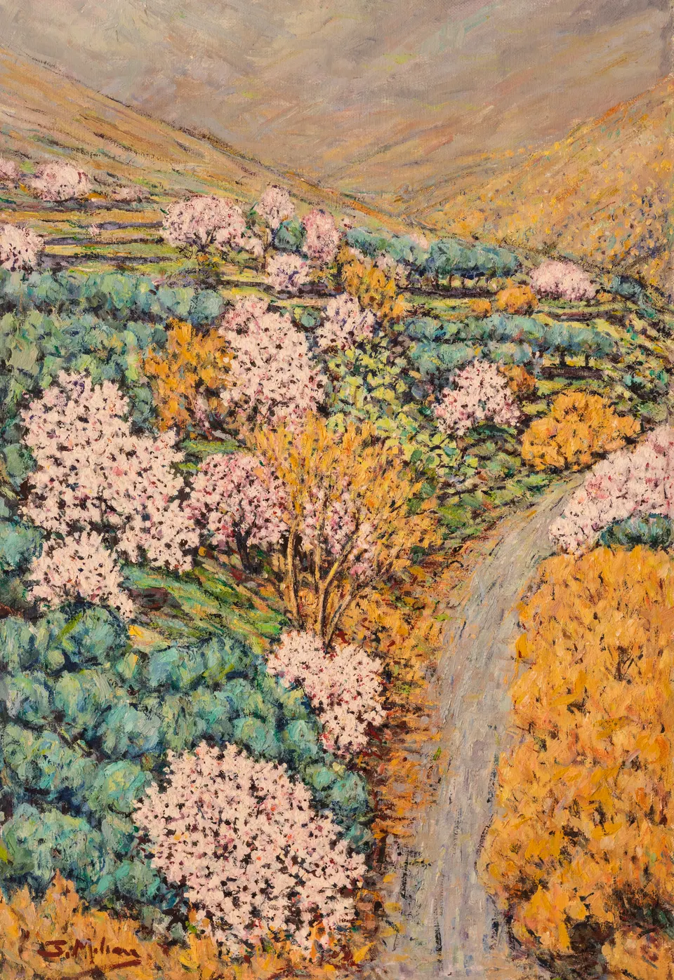 Almendros junto al camino