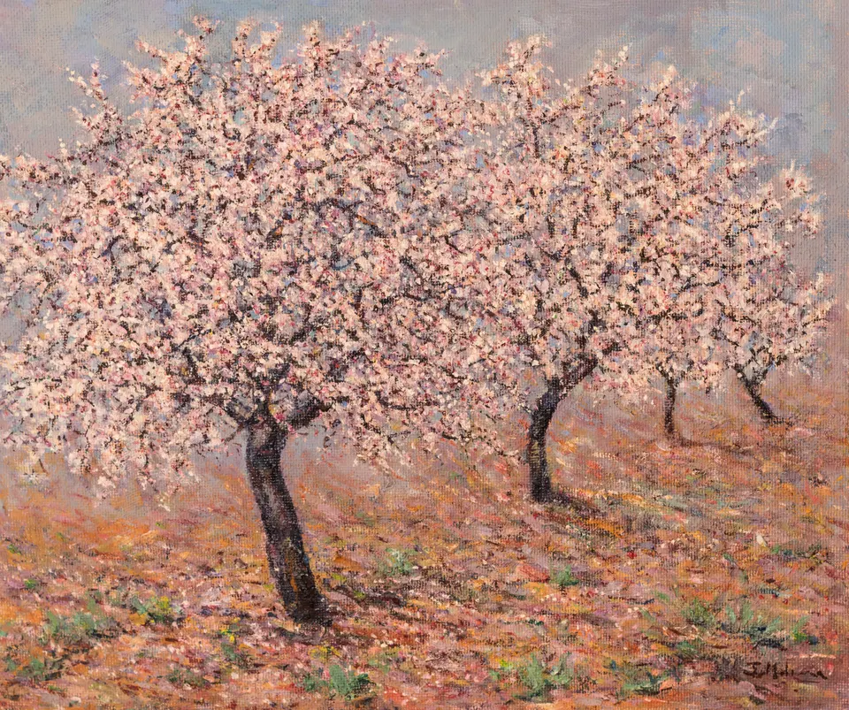 Almendros sobre tierra rojiza