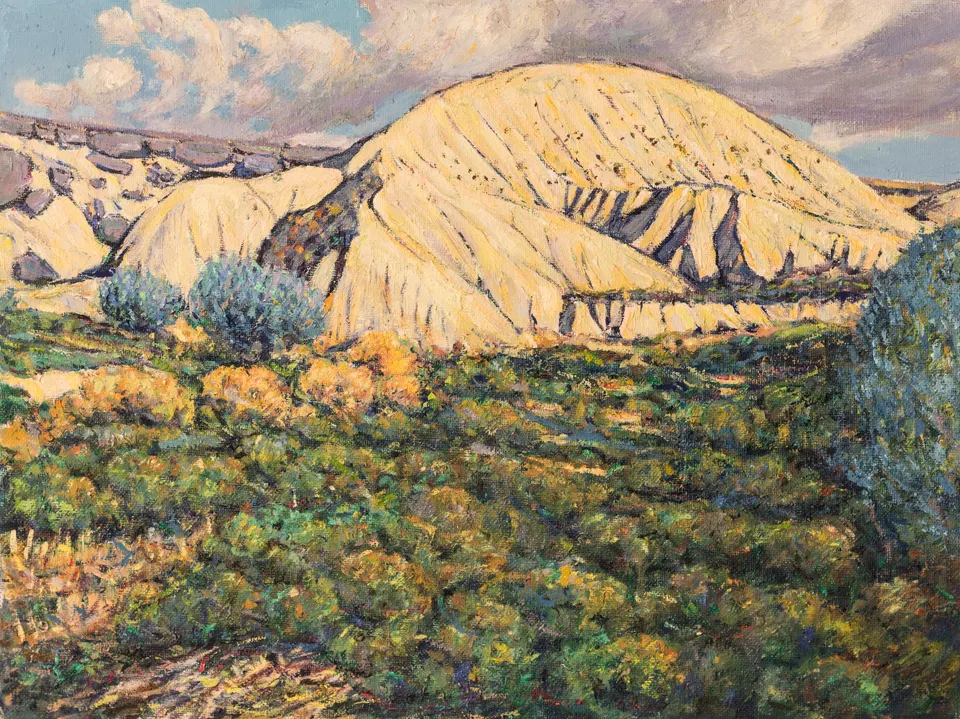 Loma pálida sobre el matorral