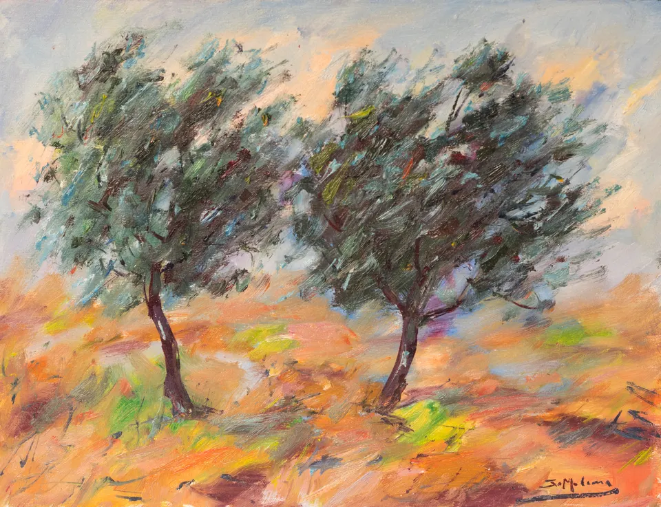 Dos olivos al viento