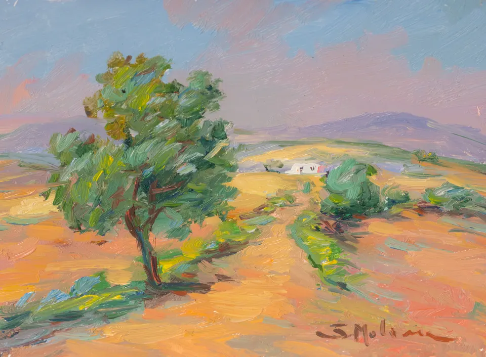 Olivo sobre el campo dorado