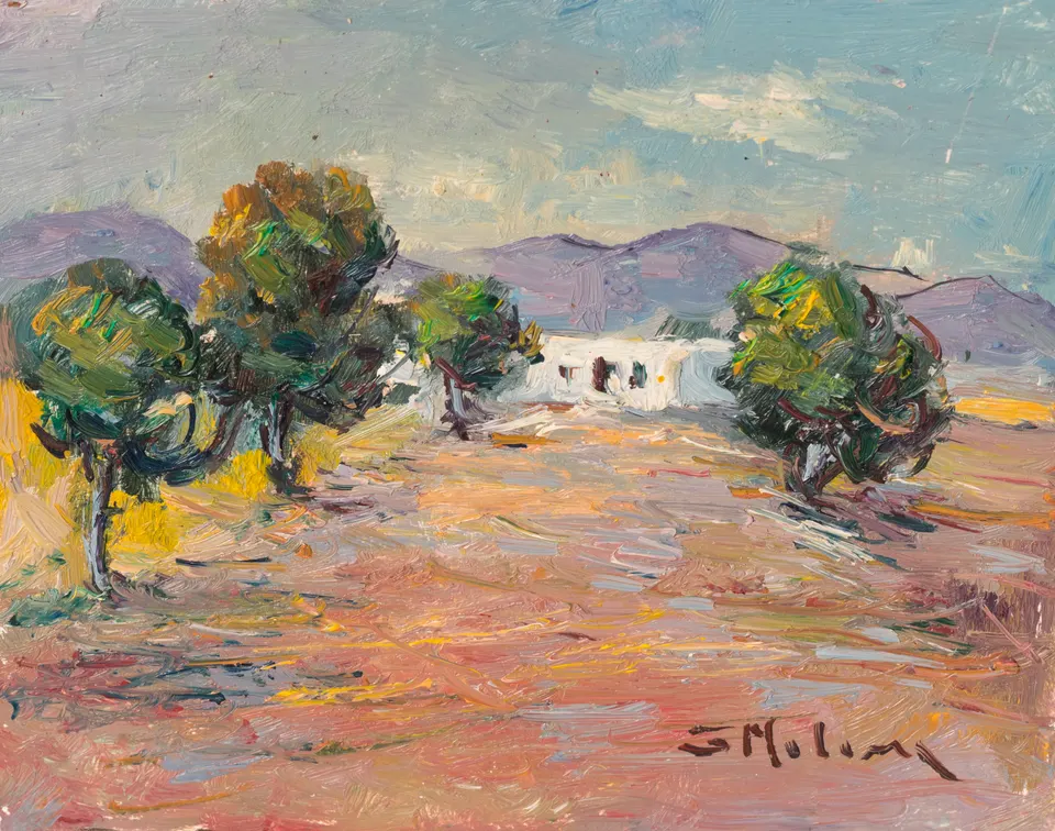 Olivos ante el cortijo