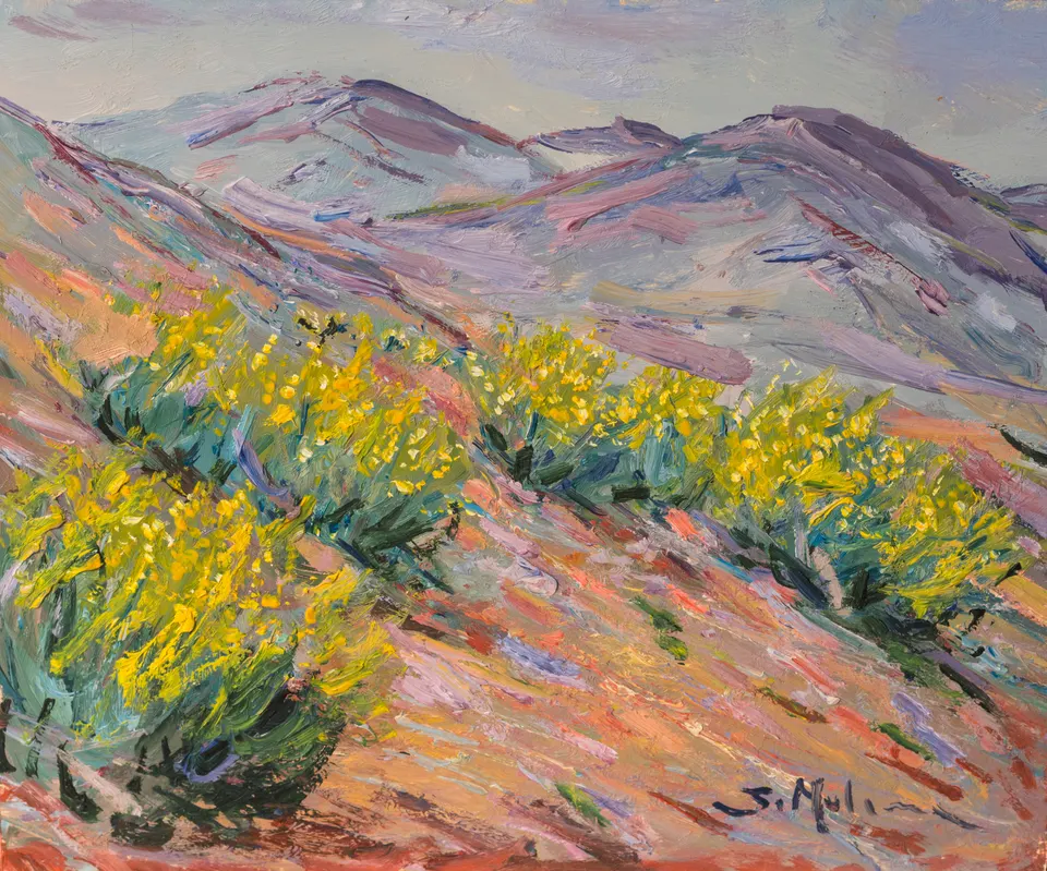 Ladera de flor amarilla