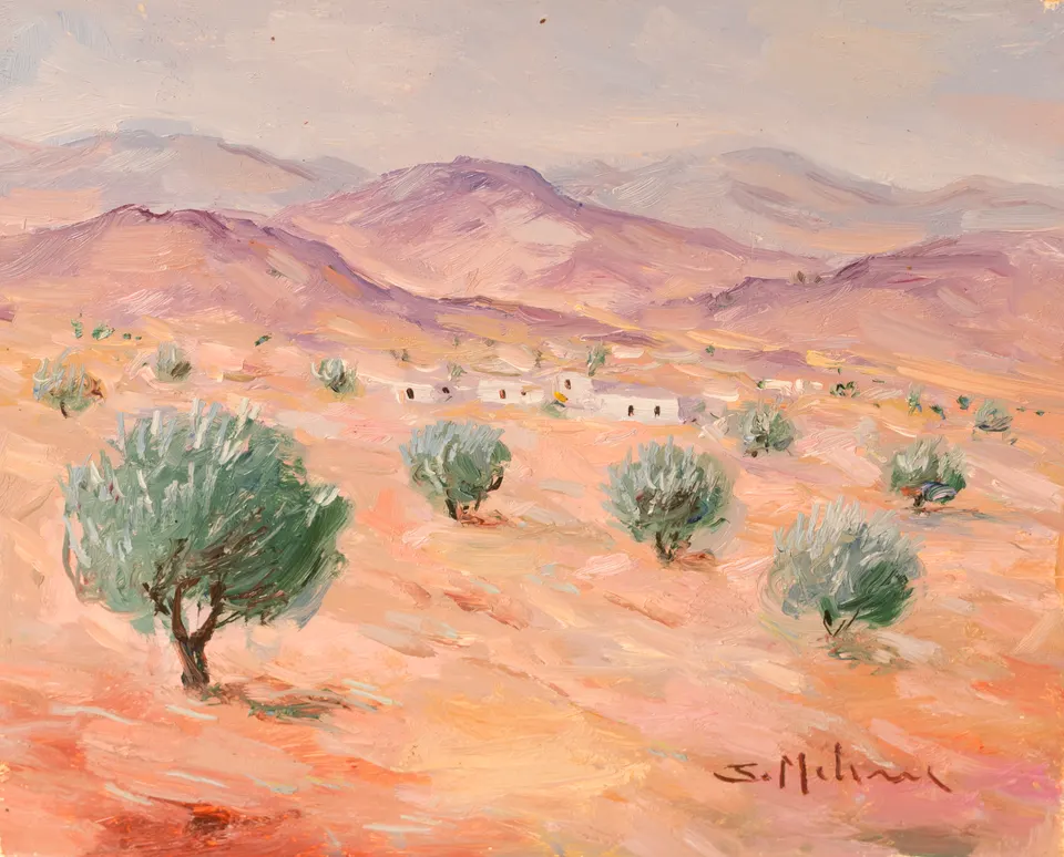 Olivos en el llano rosado