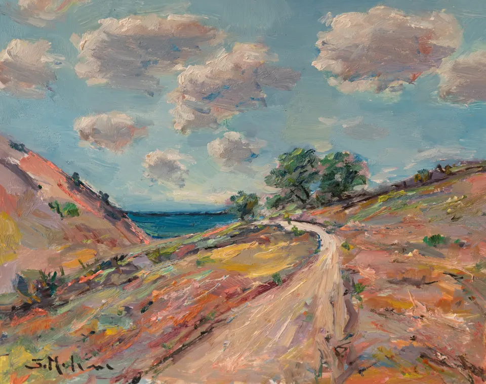 Camino que baja al mar