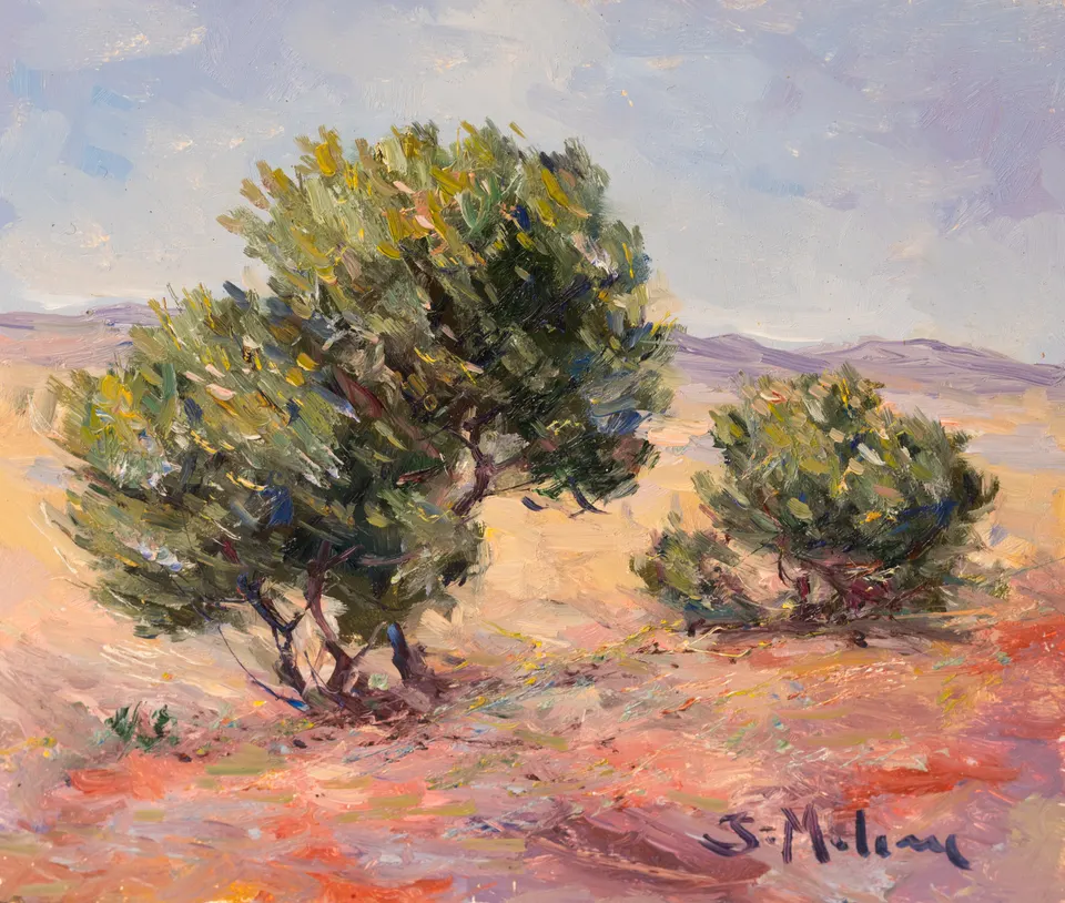 Olivos sobre tierra naranja