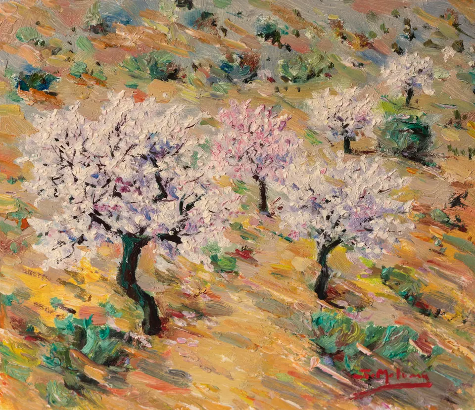 Almendral en flor