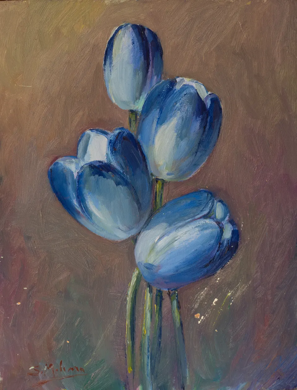 Tulipanes azules